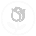 WProse Logo
